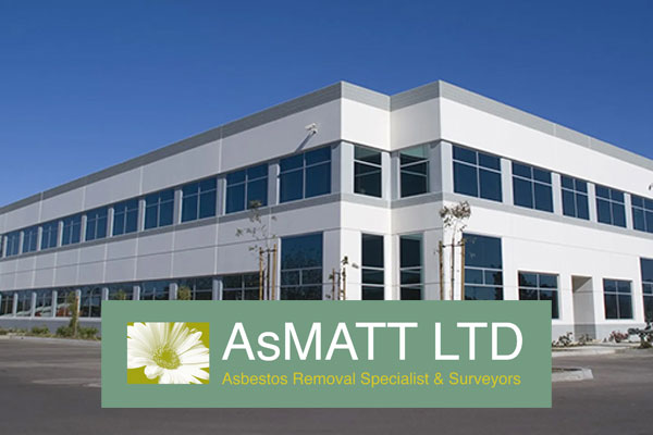 AsMatt-Ltd_Thurrock-Hammers